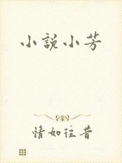 小说小芳
