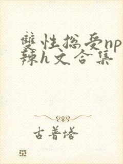 双性总受np高辣h文合集