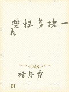 双性多攻一受高h封面