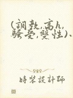 (调教,高h,骚受,双性)小说封面