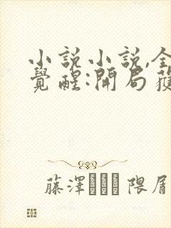 小说小说,全民觉醒:开局获得sss级天赋