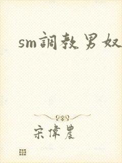 sm调教男奴文
