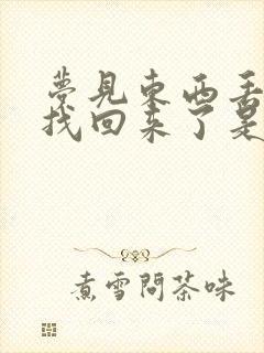 梦见东西丢了又找回来了是什么意思