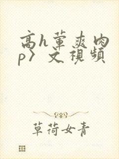 高h荤爽肉〈np〉文视频