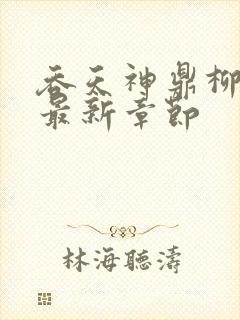 吞天神鼎柳无邪最新章节