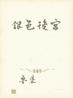 银色后宫封面