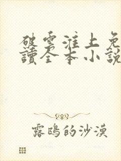 破云淮上免费阅读全本小说