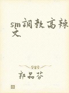 sm调教高辣h文