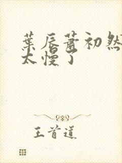 叶辰萧初然更新太慢了封面