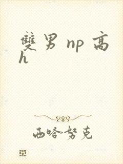 双男 np 高h