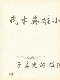我本英雄小说