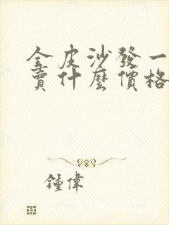 全皮沙发一般都卖什么价格封面