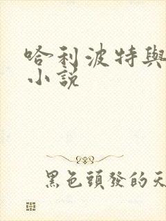 哈利波特与密室小说