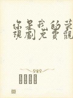 你是我的荣耀电视剧免费观看完整