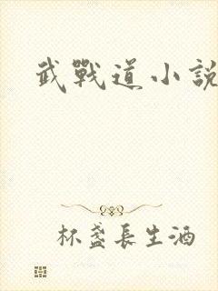 武战道小说