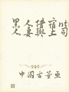 黑人借宿ntr人妻与上司中出封面