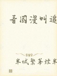 看国漫叫追番吗