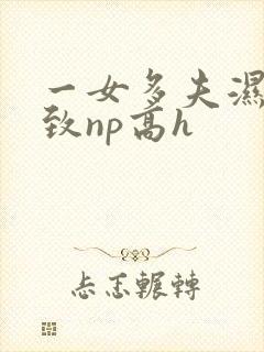 一女多夫湿润紧致np高h