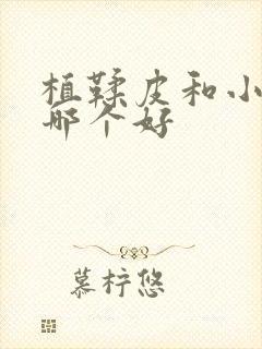 植鞣皮和小牛皮哪个好封面