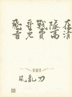 飞哥战队在线观看免费高清