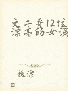 文二哥12位最漂亮的女演员小说