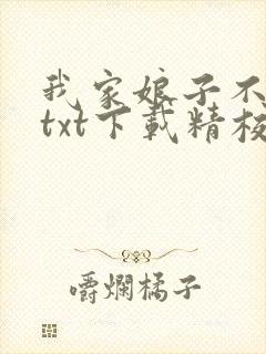 我家娘子不对劲txt下载精校版封面