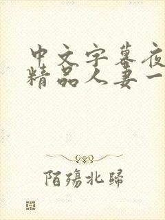 中文字幕夜夜嗨精品人妻一区二区封面