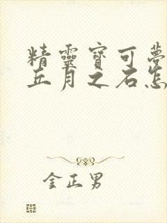 精灵宝可梦皮卡丘月之石怎么获得