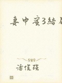 妻中蜜3结局