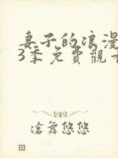 妻子的浪漫旅行3季免费观看全集完整版