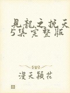 见龙之挽天倾65集完整版封面