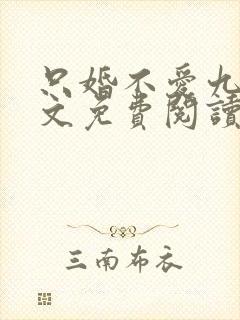 只婚不爱九醉全文免费阅读笔趣阁