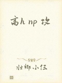 高h np 攻