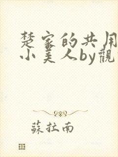 楚家的共用双性小美人by观于海者