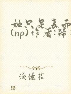 她只是表面清纯(np)作者:归零全集免费封面