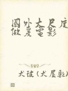 国外大尺度床戏做爰电影