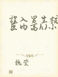 误入男生校园(巨肉高h)小说封面