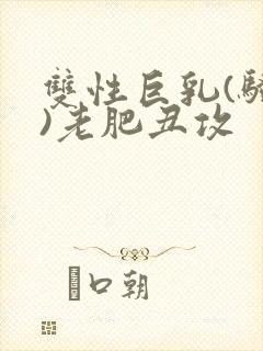 双性巨乳(骚受)老肥丑攻