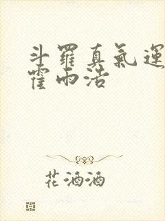 斗罗真气运之子霍雨浩