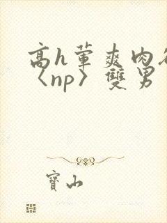 高h荤爽肉欲文〈np〉双男