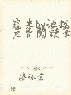 窥光by池总渣免费阅读笔趣阁