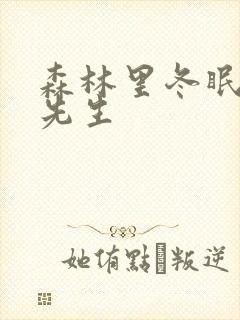 森林里冬眠的熊先生