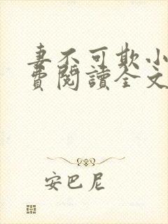 妻不可欺小说免费阅读全文