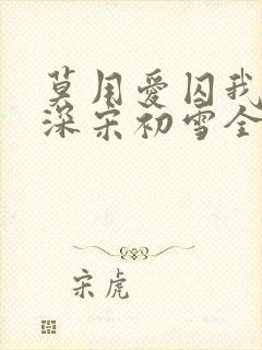 莫用爱囚我傅寒深宋初雪全文阅读封面