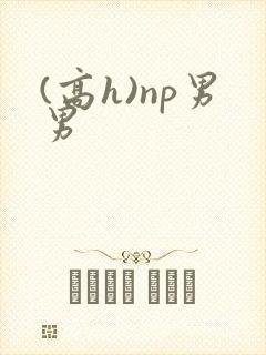(高h)np男男