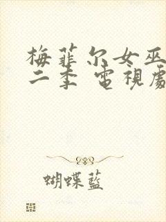 梅菲尔女巫 第二季 电视剧封面