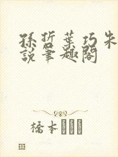 孙哲叶巧朱颜小说笔趣阁