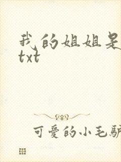 我的姐姐是美女txt