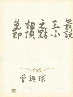 万相之王最新章节顶点小说