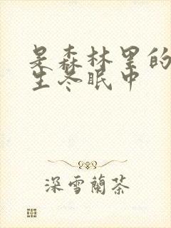 是森林里的熊先生冬眠中